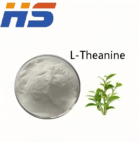 微信截图_20260313113521